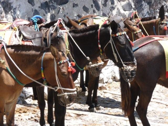 burros santorini.jpg crystal