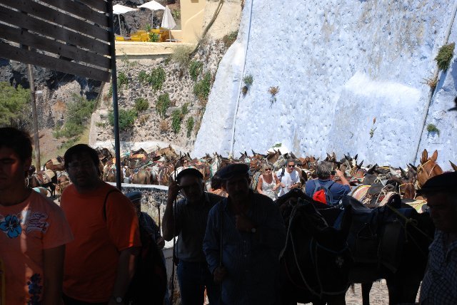 DSC_0396_santorini_burros_mogollon_640x428_122069158254929.jpg