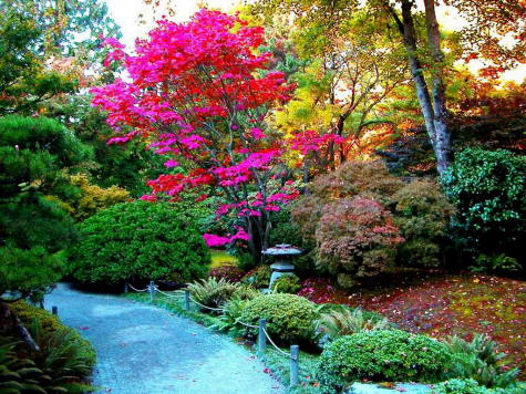 colores_jardin.jpg