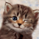 Avatar de Jonsita