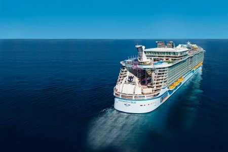 Royal Caribbean Group reinventa el simulacro de seguridad de la industria de cruceros