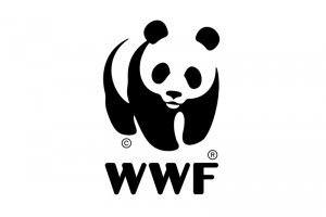Royal Caribbean y WWF firman un acuerdo para la conservación de los oceanos