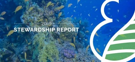 Norwegian Cruise Line Holdings publica su informe Stewardship 2019