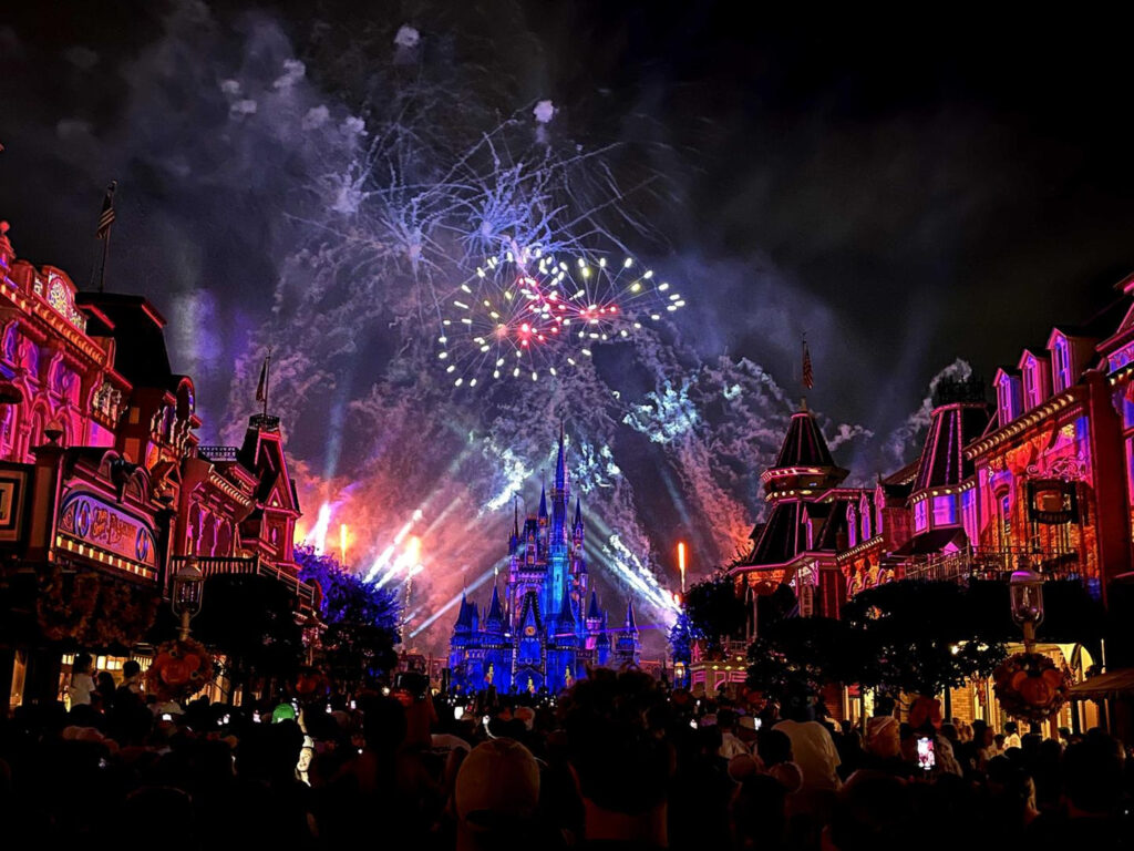 Disney World Magic Kingdom Fuegos Castillo