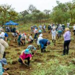 Royal Caribbean Group Foundation Image2 1300