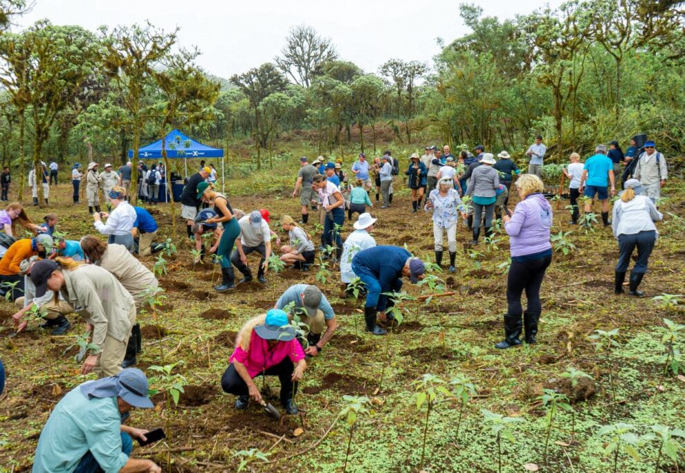 Royal Caribbean Group Foundation Image2 1300