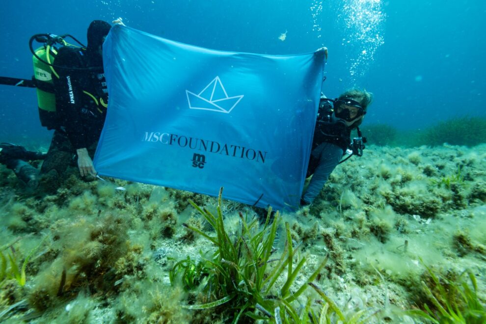 MSC Foundation flag under the waves 1400