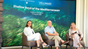 MSC Vellmari Panel QA